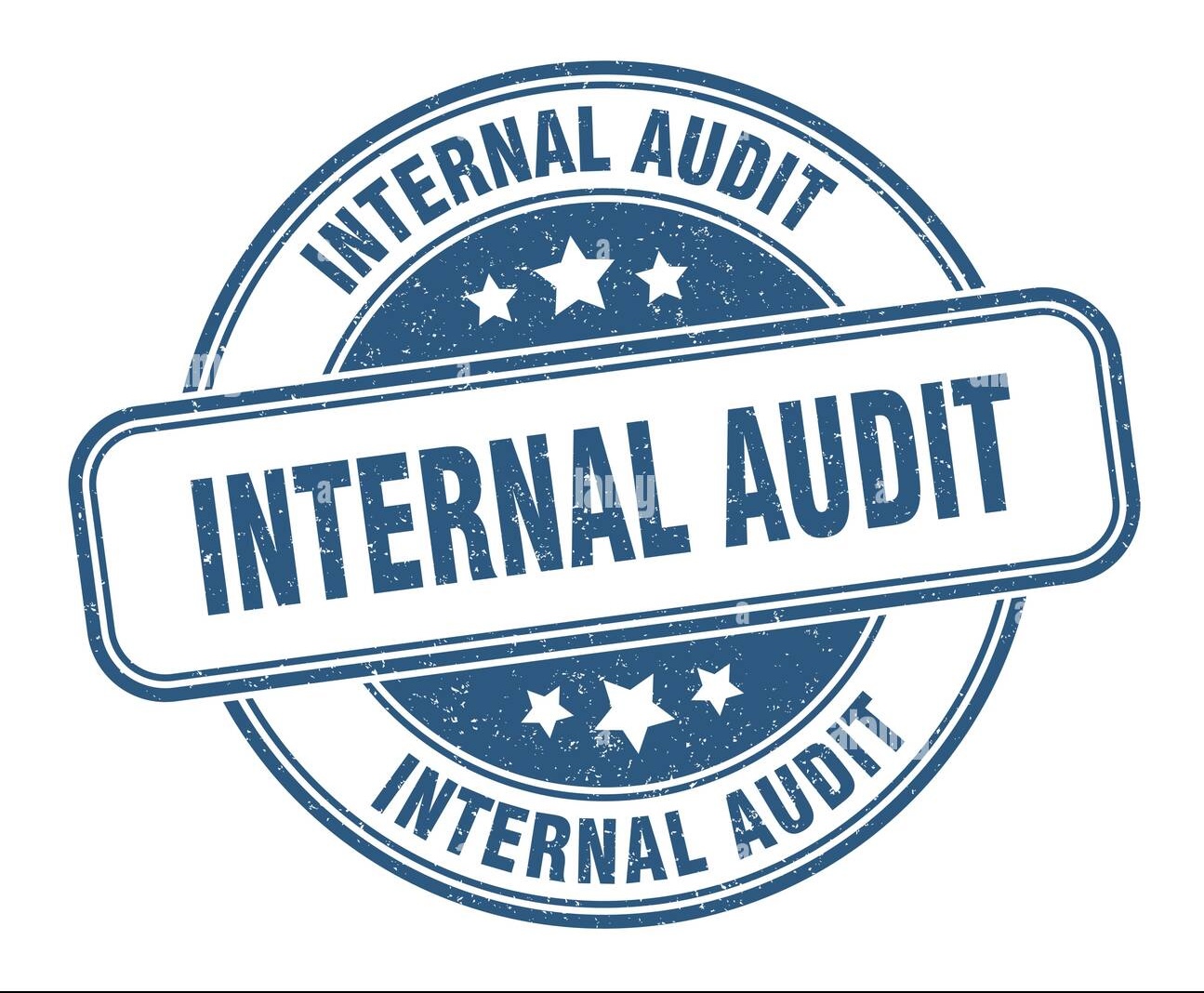 Internal Auditor